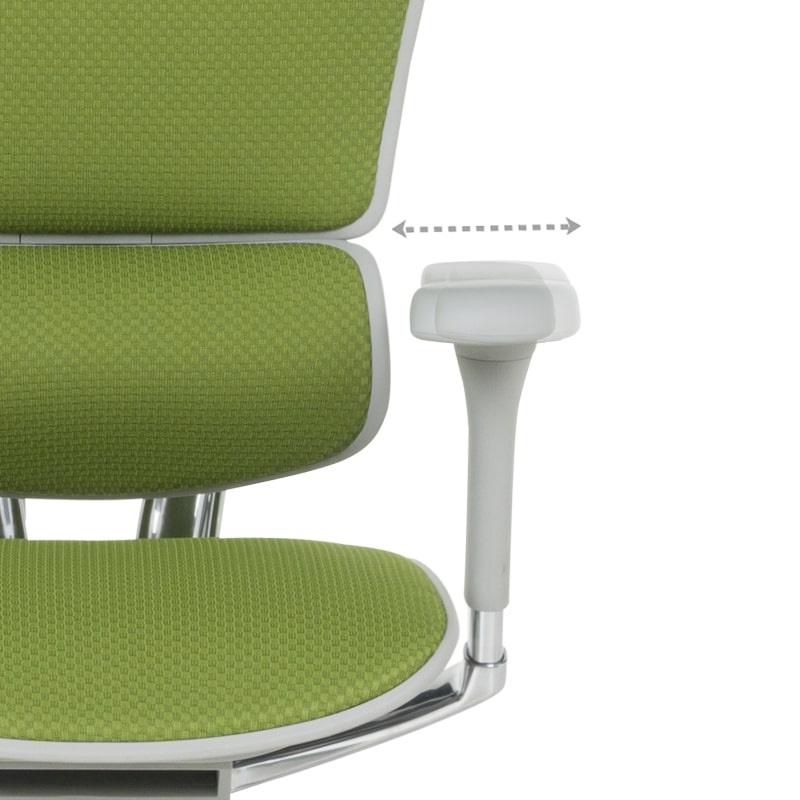 Ергономичен офис стол Ergohuman Elite 2 дамаска зелен-сива рамка